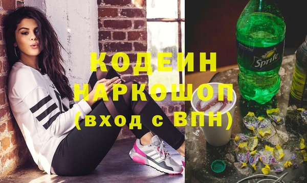 прущий лед Вяземский