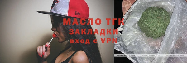 прущий лед Вяземский