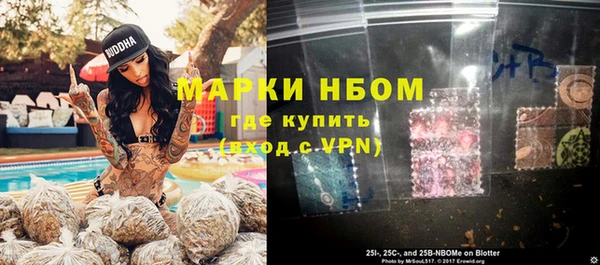 прущий лед Вяземский