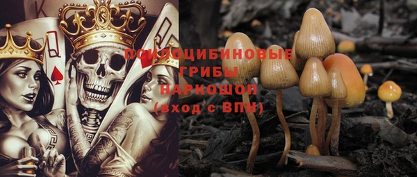 прущий лед Вяземский
