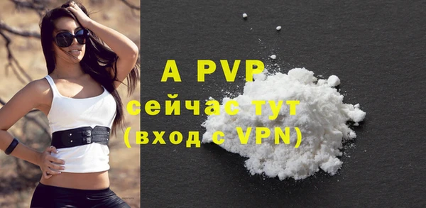 прущий лед Вяземский