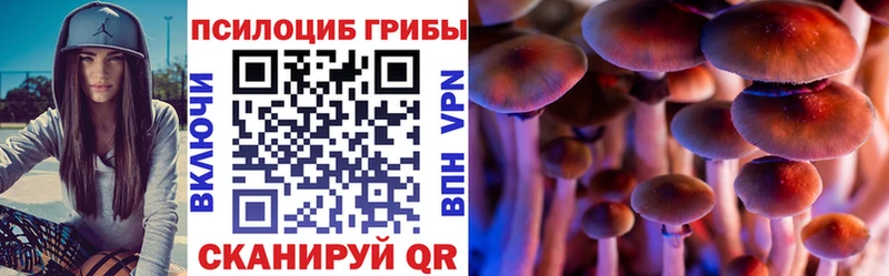 Купить  Ухта  Галлюциногенные грибы Psilocybine cubensis 